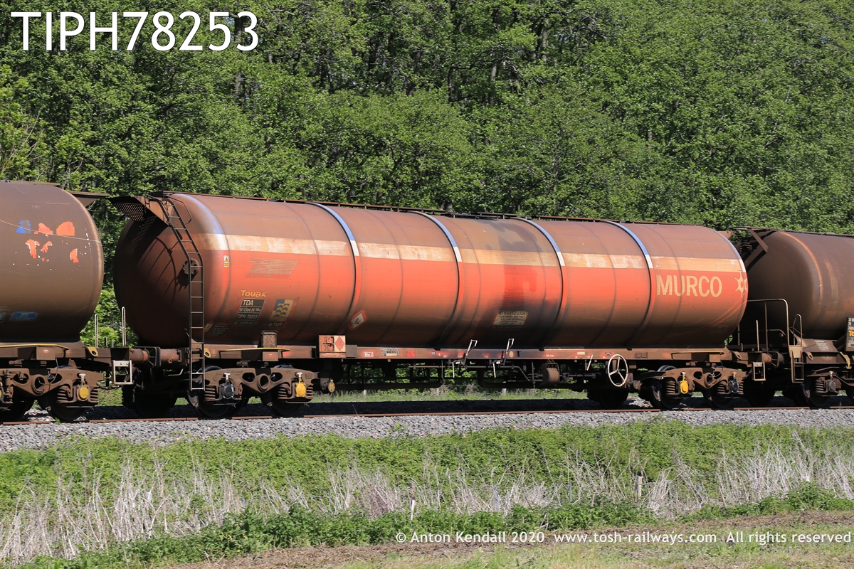 TIPH78253.JPG